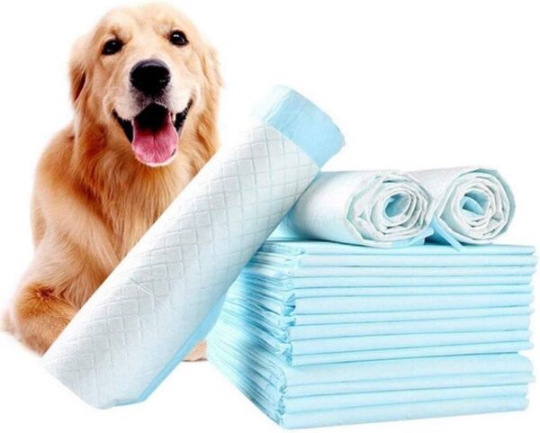 10 PCS Pet Training and Puppy Pads Super absorbent Dog Diaper Pad Disposable Urinal Pad Leak-Proof Easy Clean-Up Cat Dog universal Large Oversized Training Mat (Blue)