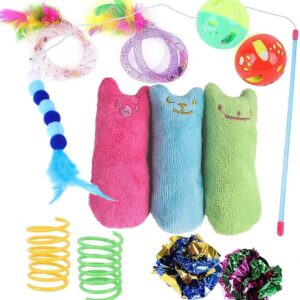 12 Pcs Cat Toys for Indoor Cats Kitten Plush Catnip Toy Cat Teeth Cleaning Toys Interactive Cat Feather Teaser Wand Spring Toy