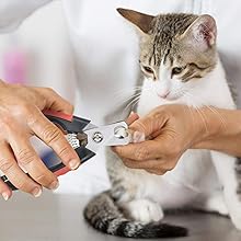 Cat clippers