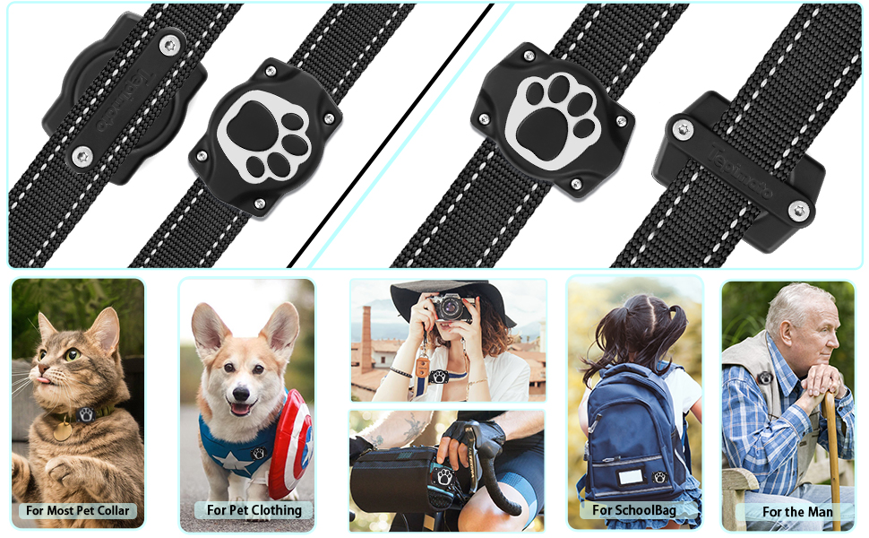  Pet Accessories