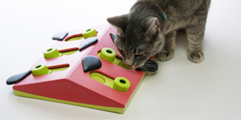 Petstages Nina Ottosson Buggin' Out Puzzle & Play Cat Treat Puzzle Cat Game Cat Puzzle Games