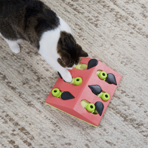 Petstages Nina Ottosson Buggin' Out Puzzle & Play Cat Treat Puzzle Cat Game Cat Puzzle Games