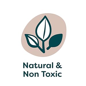 Words Natural and non toxic with plant icon