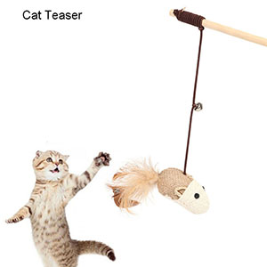 cat toy