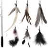 SONGWAY Cat Feather Stick Toy - 7 PCS Cat Feather Toys, 1 Cat Teaser Wand with 6 Feather Refills with Bell, Interactive Cat Toy Wand for Indoor Cat and Kitten, Black