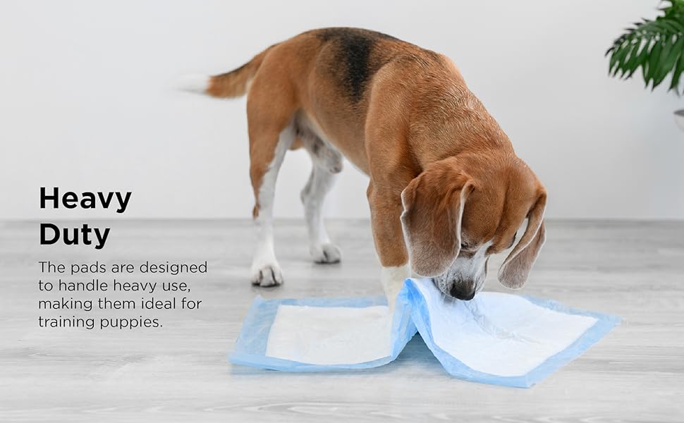 dog wee mats puppy pads dog training pads large dog mats pee mats for dogs puppy pee pads