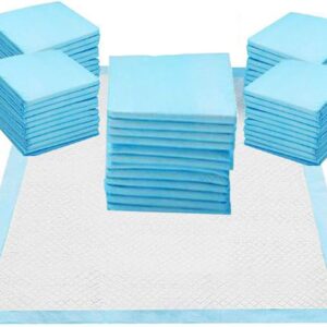 JAMES Heavy Duty Super Absorbent Fast Drying Toilet Pee Puppy Training Pads, Anti-Slip and Leak-Proof Puppy Pads for Pet (30 Pack)