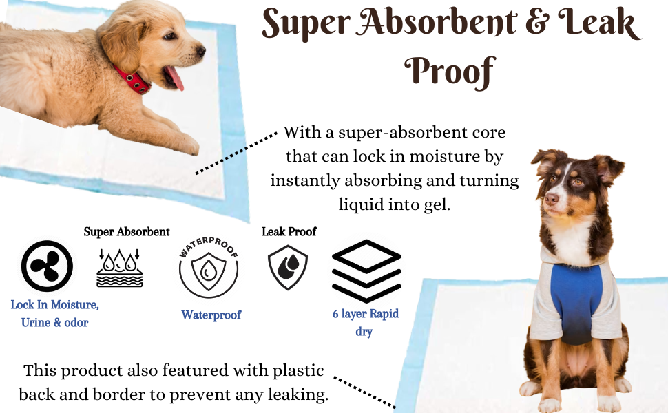 super absorbent & leak proof