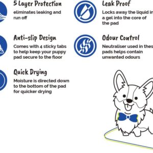 AllPetSolutions Puppy Pads - Disposable Puppy Training Pads Dog Toilet Sheets with 5 Highly Absorbent Layers & Odour Control Leak-Proof Non Slip Matting for Pet Wee - Medium, 60x40cm - 100-Pack