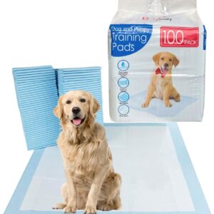 Bargain Factory - Pet Potty Training Pads for Dogs Puppy Pads - 5 Layers Super-Absorbent Waterproof - 56 x 56 cm - Disposable Puppy Pee Pads (Pack of100)