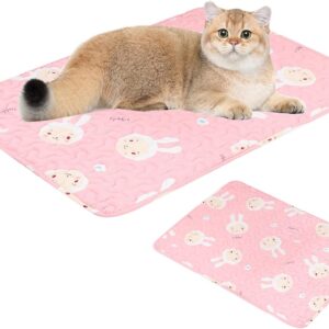 2 Pcs Washable Pee Pads for Dogs,Reusable Dog Training Pads Non-Slip Puppy Pads,Ultra-Absorbent Dog Whelping Pads for Playpen Travel Crate Training (50*70 cm, Pink)