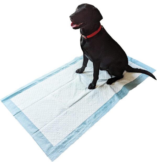 20 Extra Large Dog Toilet Training 1500 x 800 mm 2300 ml Wee Pads Puppy Pet Absorbent Mat