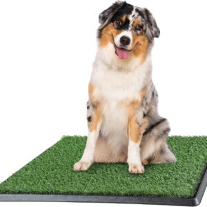 Artificial Grass Puppy Pee Pad for Dogs and Small Pets - 20x25 Reusable 3-Layer Training Potty Pad with Tray - Dog Housebreaking Supplies by PETMAKER, Green