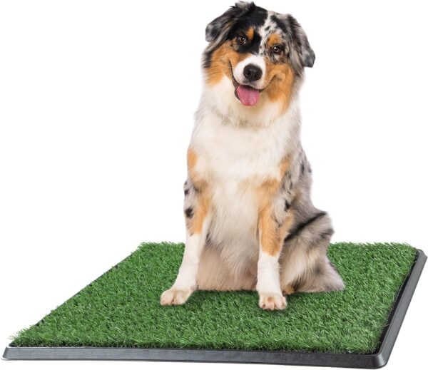 Artificial Grass Puppy Pee Pad for Dogs and Small Pets - 20x25 Reusable 3-Layer Training Potty Pad with Tray - Dog Housebreaking Supplies by PETMAKER, Green