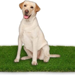 Artificial Grass Turf - Dog Grass Pad Replacement for Pet Potty Indoor/Outdoor, Protable Puppy Toilet Training Mat (46 x 71cm)