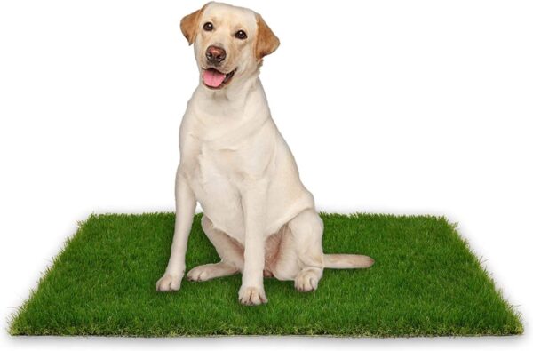 Artificial Grass Turf - Dog Grass Pad Replacement for Pet Potty Indoor/Outdoor, Protable Puppy Toilet Training Mat (46 x 71cm)