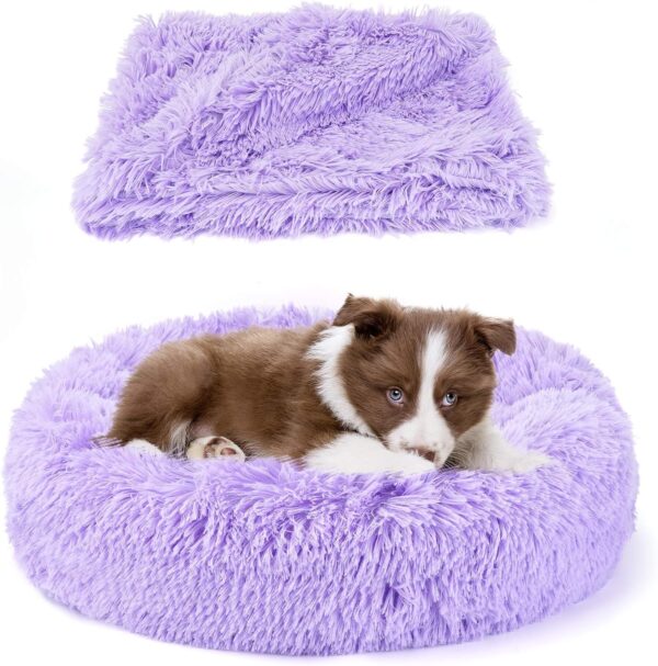 Belababy Dog Cat Donut Bed with Soft Blanket, Calming Dog Cat Bed Small with Soft Plush, Puppy Bed Dog Beds with Fluffy Cuddler, Anti Anxiety Dog Bed with Anti-Slip Bottom (XS, Purple)