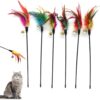 Besimple Set of 6 Feather Wands for Cats - Variable Colour - Coloured Feathers - for Cats and Kittens