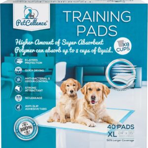 Boom! PetCellence Puppy Pads 40 Pack - 60 x 90cm Extra Large Dog Training Pads with Anti-Slip Tabs! Super Absorbent, Leak-Proof Pee Mat - Eliminate Odour & Mess!