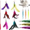 Cat Feather Toys,13 Pcs Interactive Retractable Cat Teaser Wand with Bells,12 Funny Feather Worm Colorful Ribbons Toys Refills with 3 Styles for Indoor Cats Interaction