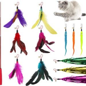 Cat Feather Toys,13 Pcs Interactive Retractable Cat Teaser Wand with Bells,12 Funny Feather Worm Colorful Ribbons Toys Refills with 3 Styles for Indoor Cats Interaction