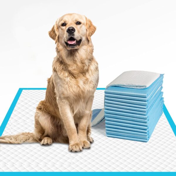 Comfy Fit 20 Pcs Disposable Pet Training Pads Large 60x90 cms Puppy Pee and Quick Drying Surface & Absorbent Core, Suitable for Small, Medium, Large Breed Pets, Dogs, Cats - 10 Pcs/Pack (Pack 02)