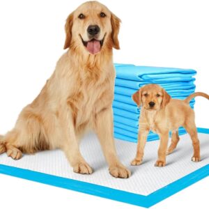 DOG n KITTY Heavy Duty Puppy Pads With Leak Proof & Odour Control Anti Slip Dog Training Pads 56x56cm For Dog, Puppy, Pet | Training Pads | Dog Training Pads | Dog Pee Pad (56x56cm (50 Pads))