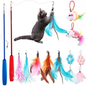 EASY JOY 11 Pcs Interactive Cat Toys, Interactive Cat Feather Toys, 2 Cat Wand, 9 Replaceable Toys, Bird Cat Toys for Small and Large Cats