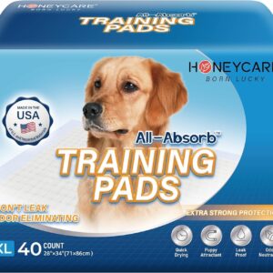 HONEY CARE All-Absorb, X-Large 28" x 34", 40 Count, Dog and Puppy Training Pads, Ultra Absorbent and Odor Eliminating, Leak-Proof 5-Layer Potty Training Pads with Quick-Dry Surface, Blue