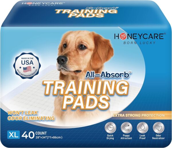 HONEY CARE All-Absorb, X-Large 28" x 34", 40 Count, Dog and Puppy Training Pads, Ultra Absorbent and Odor Eliminating, Leak-Proof 5-Layer Potty Training Pads with Quick-Dry Surface, Blue