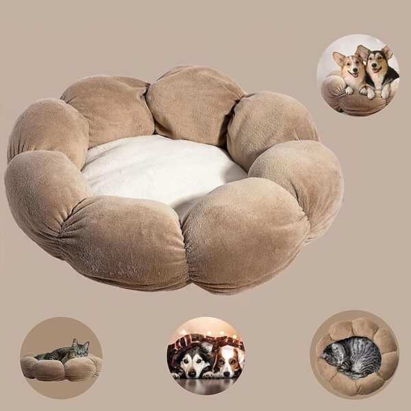 Hasslefreeshopping 55cm Cat Bed, soft and waterproof bottom, Fluffy Cushion dog bed Self Warming, Donut Shap Pet bed Machine Washable Kitten & Puppy Cuddler