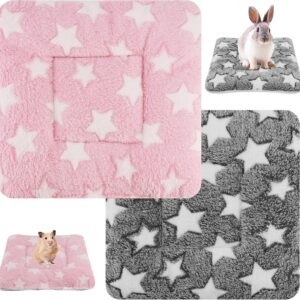 Hileyu 2 PCS Small Animal Plush Bed,Warm Cat Dog Blanket Sleeping Pad Pet Pad Fluffy Bed Mat for Guinea Pig Hamster Rabbit Kitten Bunny Chinchilla Squirrel Hedgehog,11 x 11in (Grey, pink)