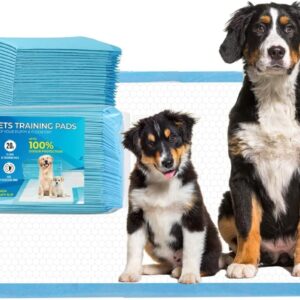 KASH4 Puppy Pads 20 Pack Hexagonal Designed Large Size Puppy Training Pads 60 x 60cm Super Absorbent Anti Slip Disposable Dog Training Pads Leak-Free Dog Pee Pads (Pack of 20)