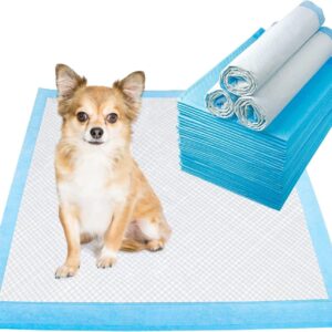 LONENESSL Premium Disposable Puppy Training Pads Leak-Proof and Super Absorbent Puppy Pee Pads Disposable Fast Drying Pee Mats for Dogs Cats Rabbits Pets (60 * 45CM 10pcs)