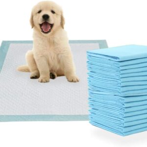 MICOOYO Puppy Training Pads - Super Absorbent Toilet Pee Mats, Leakproof Disposable Dog Pads for Puppy Cats Rabbits (60x60cm,10pcs)