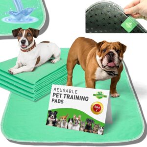 MY TURF Highly Absorbent Washable Puppy Pads 60cm x 45cm (x2), Reusable Puppy Training Pee Pads, Waterproof, Leak Proof, Fast Drying, Anti Slip, Odour Control, Puppy Wee Mats