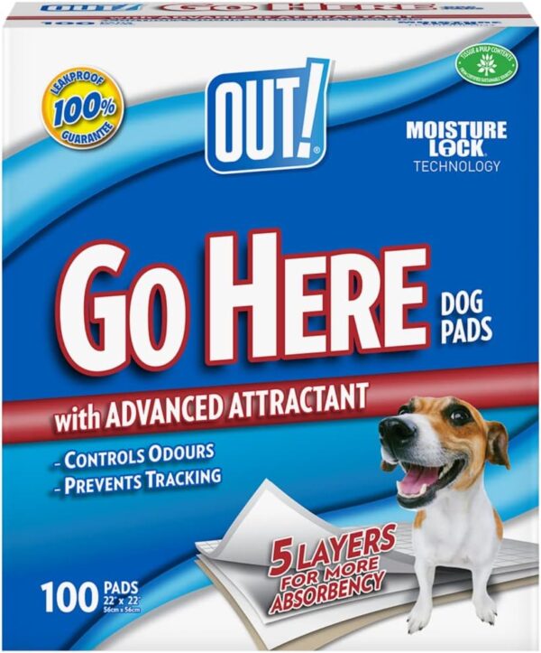 OUT! Go Here Absorbent Pet and Puppy Training Pads |100 Pads