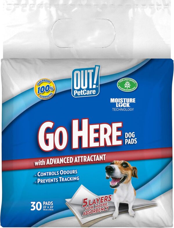 OUT! Go Here Absorbent Pet and Puppy Training Pads | 30 Pads