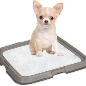 PAWISE Indoor Dog Toilet Training Pads Tray, Portable Pet Pee Pad Holder, Dog Litter Tray for Cats, Puppy Training Potty Mat with Tray, 49 * 36 cm