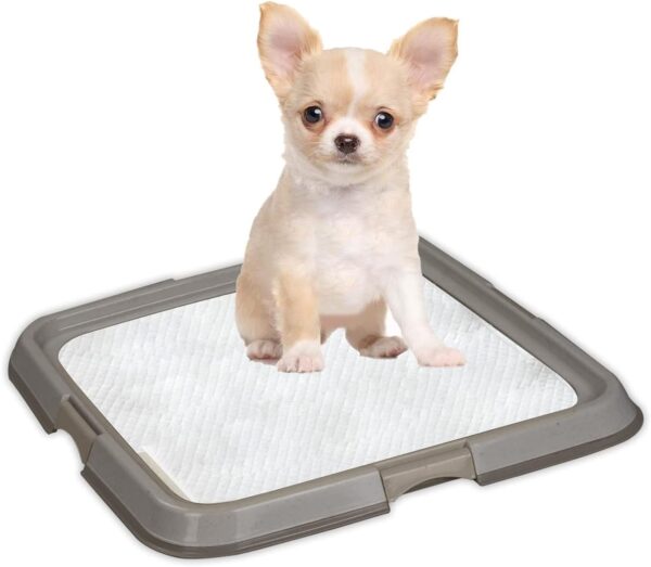 PAWISE Indoor Dog Toilet Training Pads Tray, Portable Pet Pee Pad Holder, Dog Litter Tray for Cats, Puppy Training Potty Mat with Tray, 49 * 36 cm