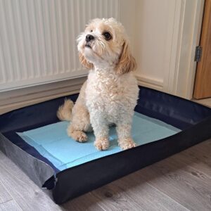 PUPPY / DOG MAT for Toilet Training, Cages, Under Bowls in Cars. Waterproof Wipeable, Use Flat or with Leakproof Pop-Up sides. Protect from accidents food & mud. 100cm x 80cm can use with puppy pads