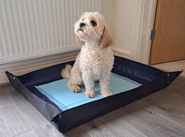 PUPPY / DOG MAT for Toilet Training, Cages, Under Bowls in Cars. Waterproof Wipeable, Use Flat or with Leakproof Pop-Up sides. Protect from accidents food & mud. 100cm x 80cm can use with puppy pads