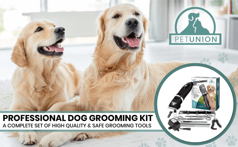 Professional Dog Grooming Kit