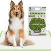 Pogi's Training Pads - Extra Large, Super Absorbent, Earth-Friendly Puppy Training Pads with Sticky Tabs for Medium to Large Sized Dogs (Extra Large - 60 x 90 cm, 40-Count)