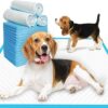 Puppy Dog Pads, 100 Pack Super Absorbent Toilet Pee Puppy Disposable Dog Training Pad, Anti Slip Puppy Pads, Dog Training Cheap Pee Pad Mats, Large Dogs Toilet Tray Pads Dry Dog Pads (60x45cm)