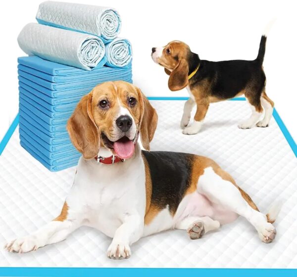 Puppy Dog Pads, 100 Pack Super Absorbent Toilet Pee Puppy Disposable Dog Training Pad, Anti Slip Puppy Pads, Dog Training Cheap Pee Pad Mats, Large Dogs Toilet Tray Pads Dry Dog Pads (60x45cm)