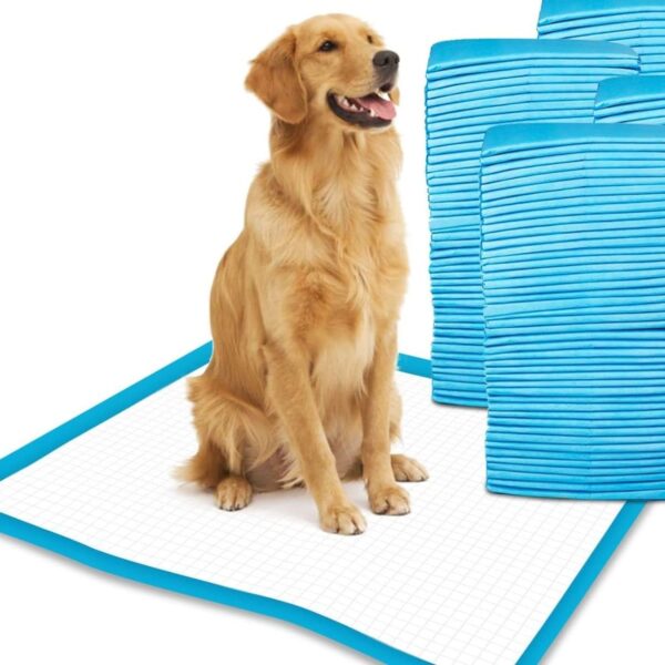 Puppy Pads Dog Training Pads-Pack of 50 Pcs-Toilet Pee Pads Wee Mats Pet Dog Cat Large Size 60x45cm-5 layers of protection-Highly absorbent puppy training pads with waterproof rear sheet (Pack of 50)