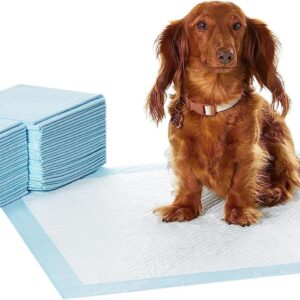 Puppy Pads for Potty Training | Leak Proof 5-layers Puppy Training Pads |Super Absorbent Washable Puppy Pads |Disposable puppy Pads Pack of 40