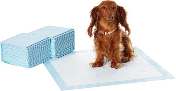 Puppy Pads for Potty Training | Leak Proof 5-layers Puppy Training Pads |Super Absorbent Washable Puppy Pads |Disposable puppy Pads Pack of 40