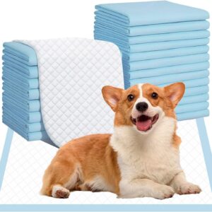 Puppy Training Pads 100 Pack, Super Absorbent Disposable Dog Pee Pad, Pet Training Mat for Dogs Cats Rabbit (45x60cm)